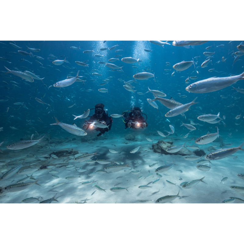 Two people using Aqua Marina BlueDrive X Electric Underwater Jets with illumination lights on while scuba diving