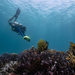 Person using Asiwo Underwater Electric Manta Pro Sea Scooter to dive in the ocean