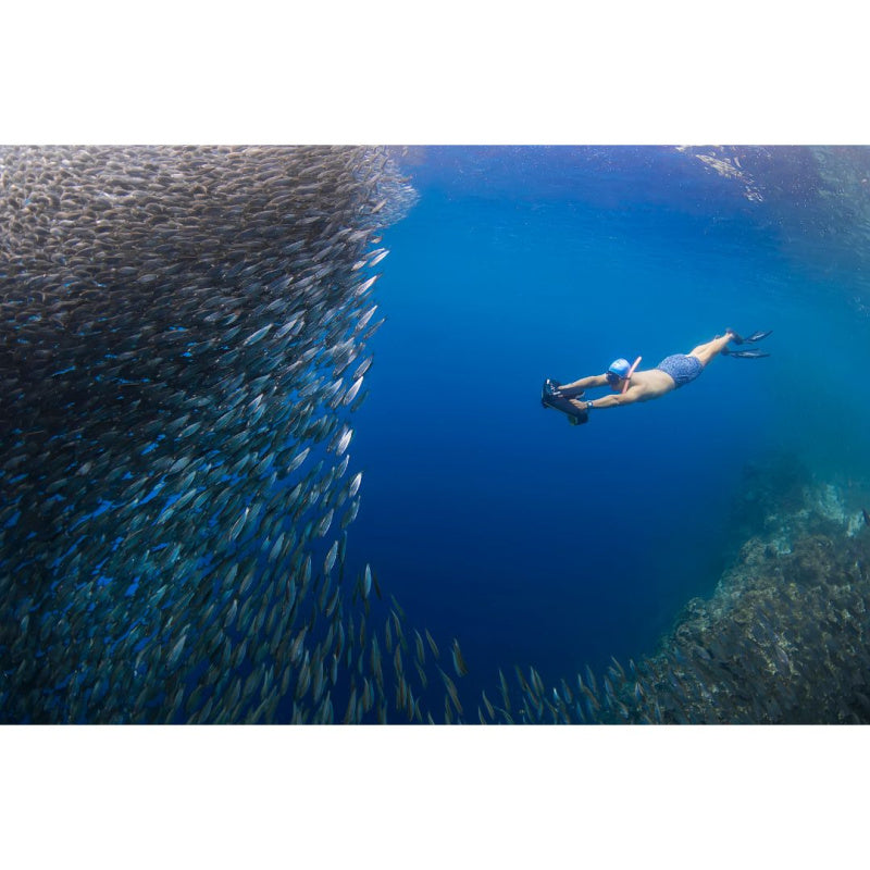 Sublue Navbow Underwater Scooter