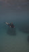 Video of Sam Diving with the Sublue Vapor Underwater Scooter